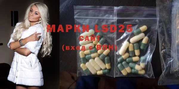 мяу мяу мука Иннополис