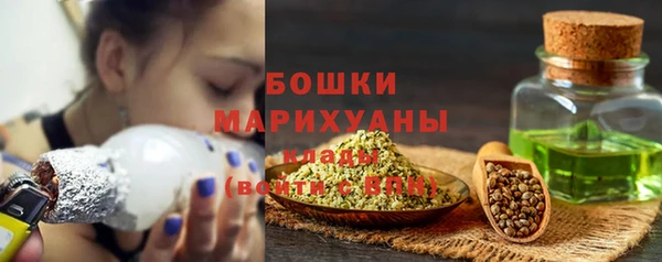 мяу мяу мука Инсар