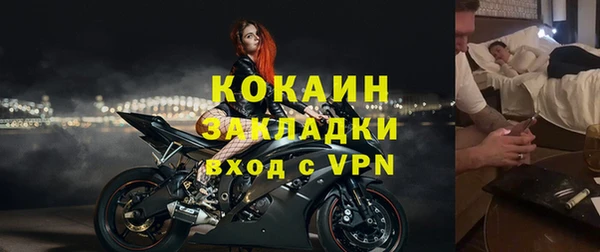 крисы Каменка