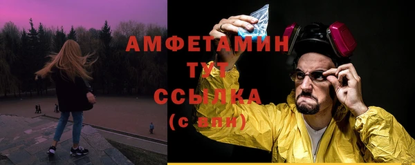 мяу мяу мука Инсар