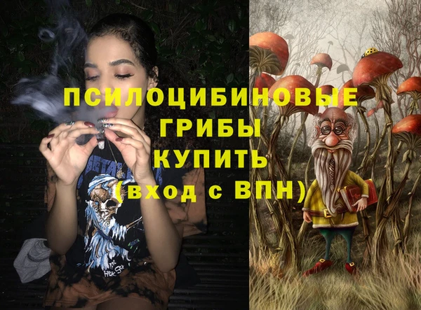 мяу мяу мука Инсар