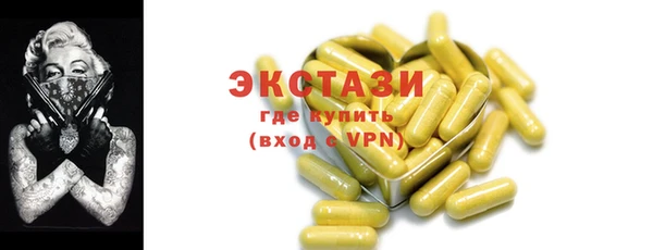крисы Каменка