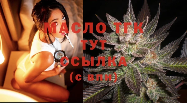 мяу мяу мука Иннополис