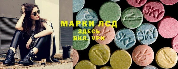 мяу мяу мука Иннополис