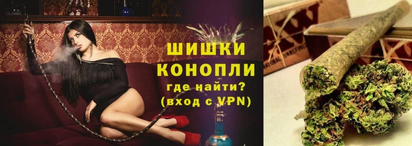 мяу мяу мука Иннополис