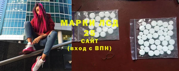тгк Каменногорск