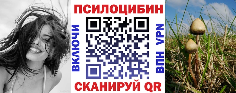 Псилоцибиновые грибы Psilocybe  наркота  Смоленск 