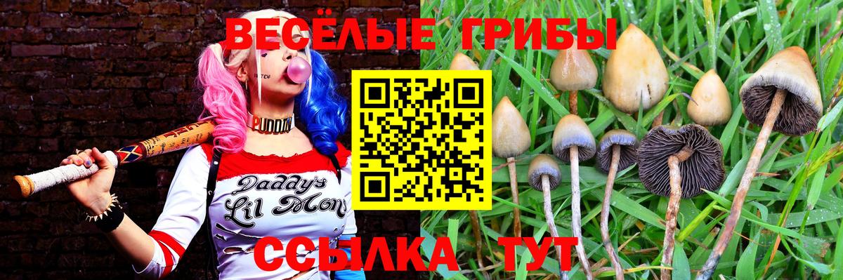 Смоленск  Галлюциногенные грибы ЛСД  продажа наркотиков  Вход с VPN 
